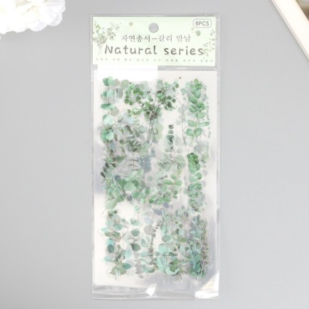 Stickers Plastic "Eucalypt" set of 6 sheets 10x18 cm-5