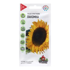 Sunflower seeds 