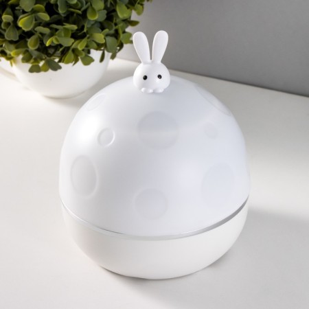 Night-designer Led USB Bunny White 12x12x15.5 cm Risalux-20