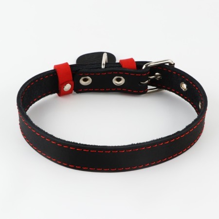 Set: collar (36-56x2.5 cm) and leash (130x1.5 cm), black color and raspberry color-1