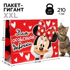 Gift package 