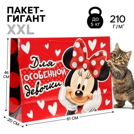 Gift package "For a special girl" 61x46x20 cm, packaging, Minnie Mouse
