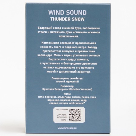 Toilet water male "Sound of the Wind", "Snow Thunderstorm", 100 ml-5