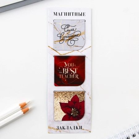 Gift set "Teacher No. 1": A5 diary, 80 sheets, pen, stickers, thermostatic 350 ml and magnetic bookmarks-11