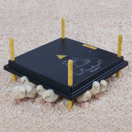 Heating panel Comfort 40x40 cm 38 W for chickens-1