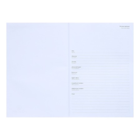 Leduced Diary A5, 160 sheets, attomex.Rigent, solid boumvinyl cover with foam rubber, liesse, block 70 g/m2, silver-3