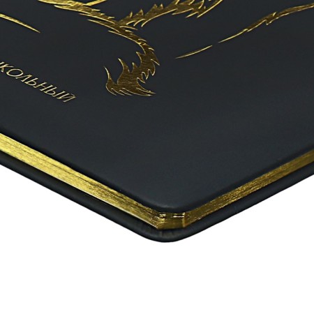 Diary 1-11 Grade "Kisul Vasily", artificial leather, foam, foil embossing, 48 sheets-3
