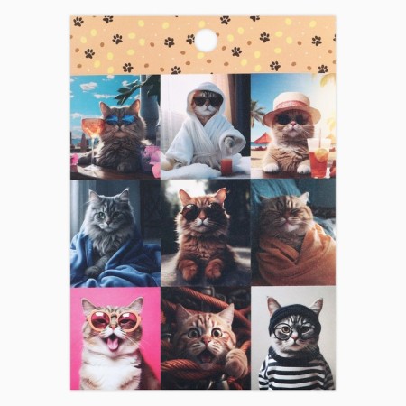 A set of paper stickers "Kotops", 10 pieces, 11 x 15.5 cm-5