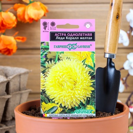 Flower seeds Astra "Lady Coral Yellow", one -year -old, an exclusive series, 0.05 g