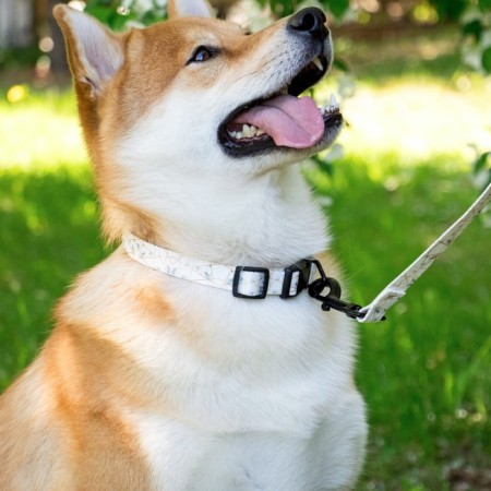 Set "marble", fastener - fastx, leash 2 m and collar 28-46 cm-12