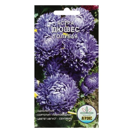 Flower seeds Annual Astra Duhes Blue 0.2