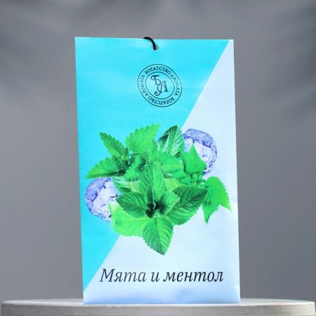 Sasha aromatic "Mint and menthol", 10 g