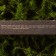 Adult toothbrush, good morning bamboo