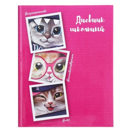 Universal diary for grades 1-11, 48 Kota sheets, integral cover, glossy lamination