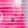 A cage for small rodents "Pijon", with a filling, 27 x 21 x 45 cm, pink