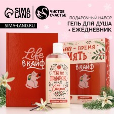 Новогодний подарочный набор косметики «Ты не подарок, но и я не Санта», гель для душа 250 мл и ежедневник, Новый Год