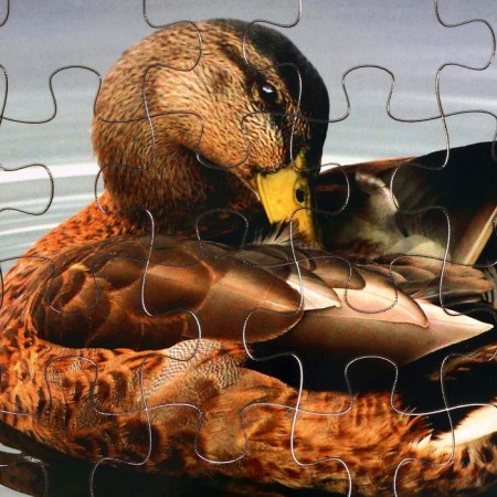 Puzzle series Fantasy "Duck", 24 details, size - 28 × 18.5 cm-2