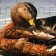 Puzzle series Fantasy "Duck", 24 details, size - 28 × 18.5 cm