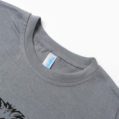 T -shirt for a boy , color gray/lion, height 140-1
