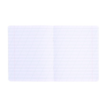 Notebook 12 sheets in the slanting line "Ptashki", covered coated cardboard, VD-LK, OFSET BOCT, MIX-2