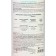 Fertilizer liquid gross for coniferous plants, 500 ml