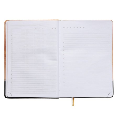 Leduced Diary A5, 160 sheets, Devente. Wild CAT, solid cover of artificial leather with foam rubber, color cut, block 70 g/m2, orange-7