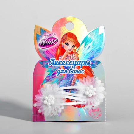 Hair hair clip, 2 pieces, Winx-4