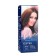 Persistent Hair Cream Estel Love dark chestnut