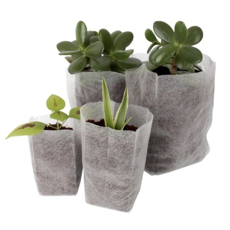 Packages for seedlings, 250 ml, 10 × 12 cm, in a set of 100 pcs.-5