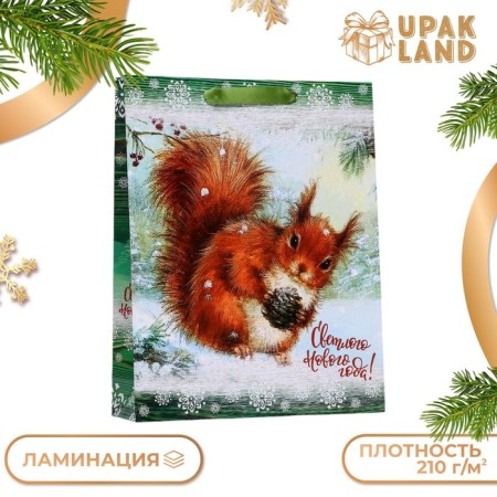 Laminated vertical "Squirrel" package, 33 x 42 x 10 cm-2