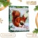 Laminated vertical "Squirrel" package, 33 x 42 x 10 cm