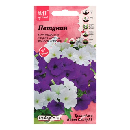 Flowers of Petunia "Triloji White and Blue", 5 pcs