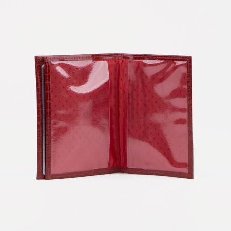 Cover for autoDocations and passports, red color-3