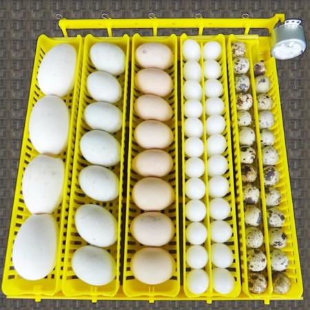 Incubator, 42 eggs, automatic coup, 220 V, Janoel-6