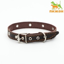 A single -layer leather collar with corrugated eyelets, dimensionless, 50 x 2 cm, brown