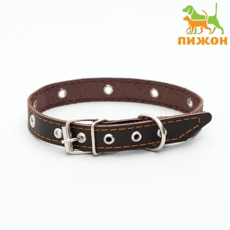 A single -layer leather collar with corrugated eyelets, dimensionless, 50 x 2 cm, brown
