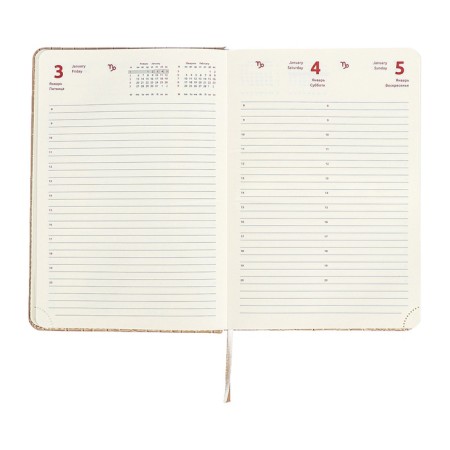 Dated diary 2025 A5 168 sheets, Devente.Barbara, a solid cover to leatherette with foam, praise, perforation, lies, block 70, beige, beige-13