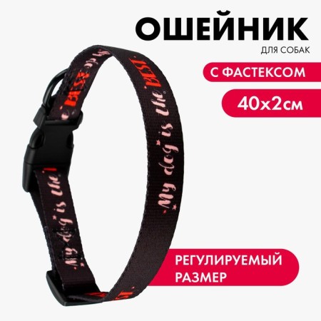 Collar My Dog is the Best, fastener - Fastex, 2 cm 25-40 cm