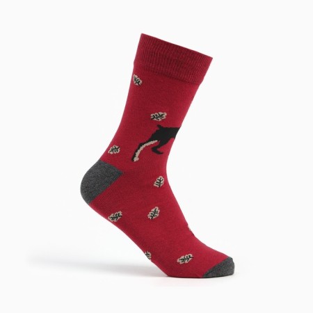 Male socks (2 pairs), burgundy/black color, size 44-45-5