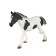 Figure Konik "Tinker, one -year -old foal"