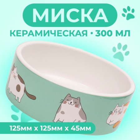 Ceramic "Kotsy" bowl 300 ml 12.5 x 4.5 cm, white-green