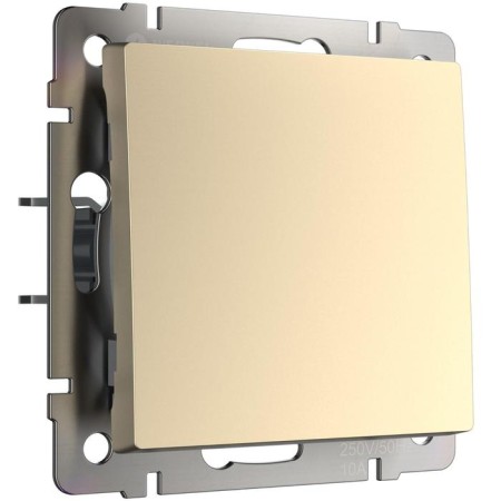 Single-valve switch WL11-SW-1G, Shampan-1