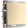 Single-valve switch WL11-SW-1G, Shampan