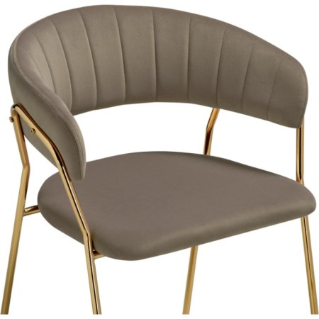 SHAMENT STALLIA Kamelia 1 metal/velor, gold/cappuccino 60x52x79 cm-4