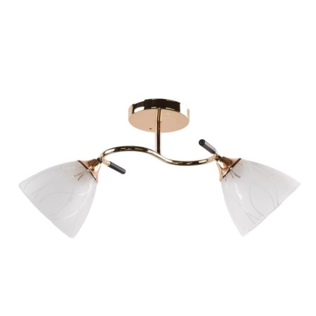 Lamp Ceiling Economy Highlight 12238/2FGD+BK WT, 2x60W, E27, 24x18x47 cm, gold color