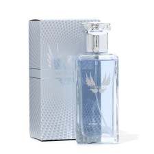 Men's toilet water Courageous, 100 ml