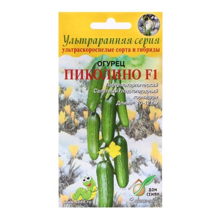Pikolino F1 cucumber seeds, 6 pcs