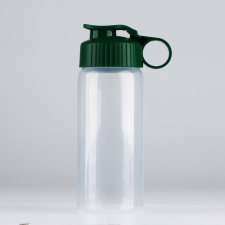 Water bottle "View 3", 450 ml