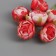 Decor for creativity "peonies" white-red (1 set = 1 bouquet) in the bouquet 6 pcs 2.5x10.5 cm