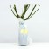 CENTIPHOL ROSE CENTIPHOL PALLADA, StOVOLOVASTKOV, 1 pc, spring 2024